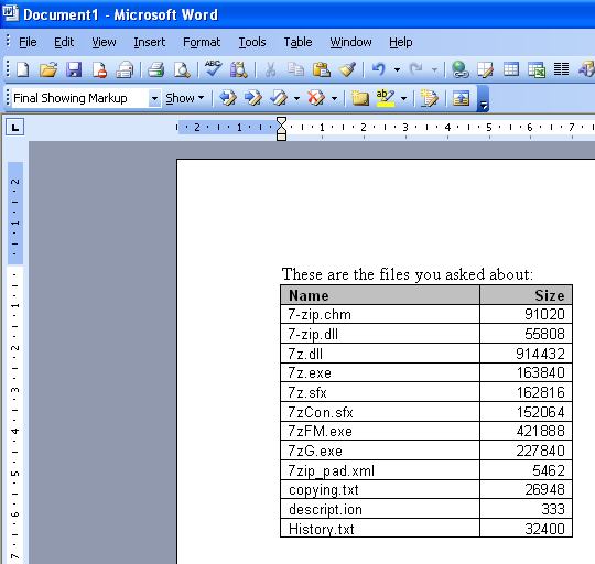 A list of files in Word